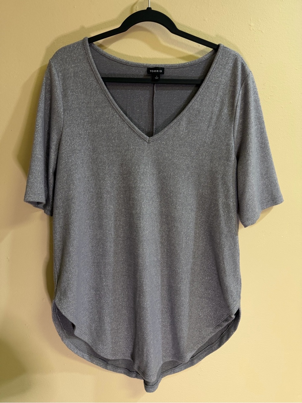 Torrid Size 1 Silver Glitter Sparkly V-Neck Short Sleeve Top 1X Metallic
